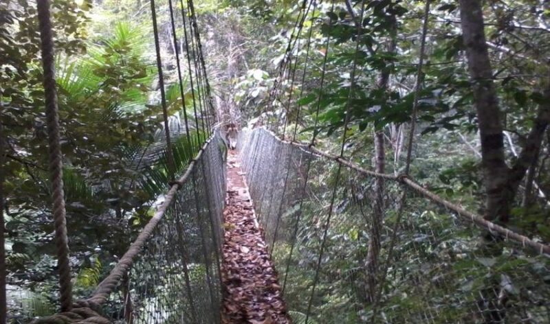 Ecoparque de Una - Trilha suspensa Ecoparque de Una - Trilha suspensa