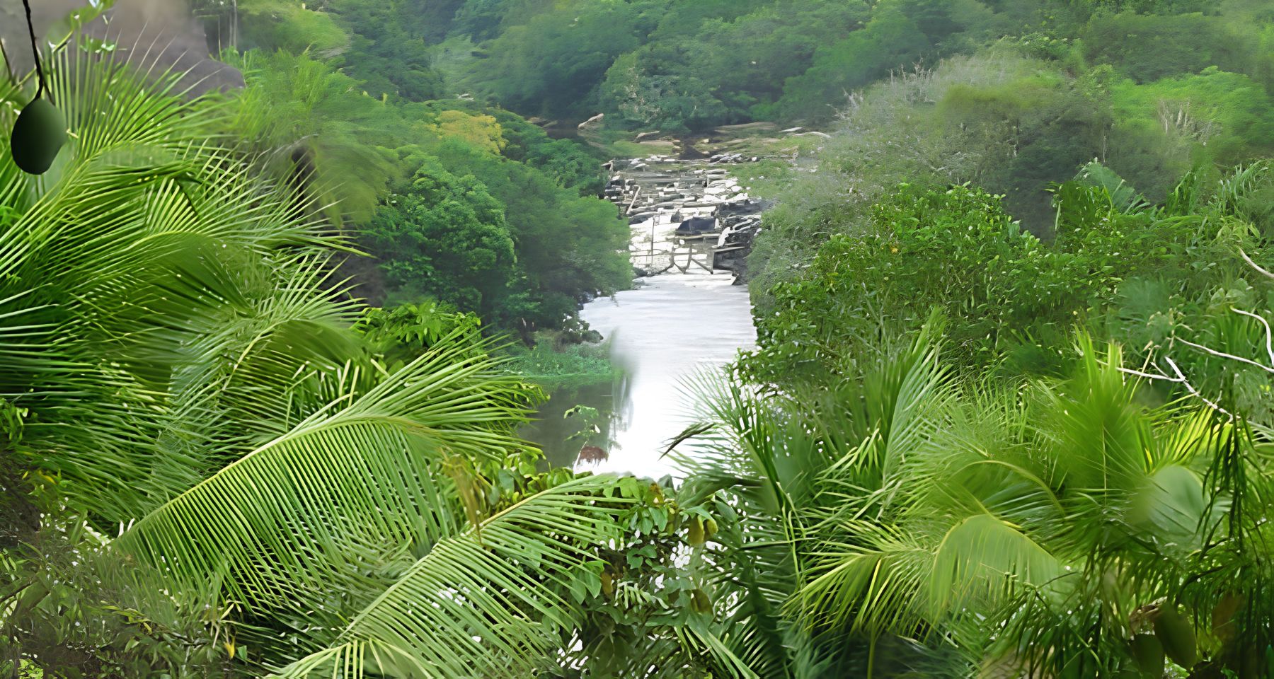 Reserva de Sapiranga – Natureza e Aventura na Praia do Forte Reserva de Sapiranga – Natureza e Aventura na Praia do Forte