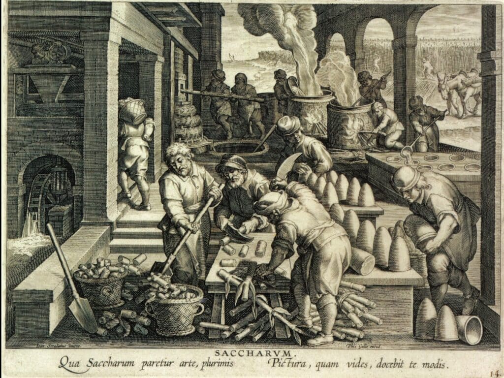 Gravura flamenga do final do século XVI que mostra o fabrico de pães de açúcar numa plantação colonial. (Museu Britânico, Londres) Gravura flamenga do final do século XVI que mostra o fabrico de pães de açúcar numa plantação colonial. (Museu Britânico, Londres)