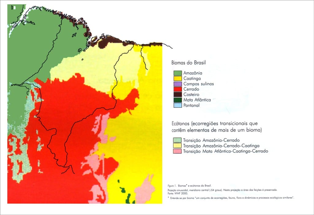Mapa dos Biomas do Maranhão Mapa dos Biomas do Maranhão