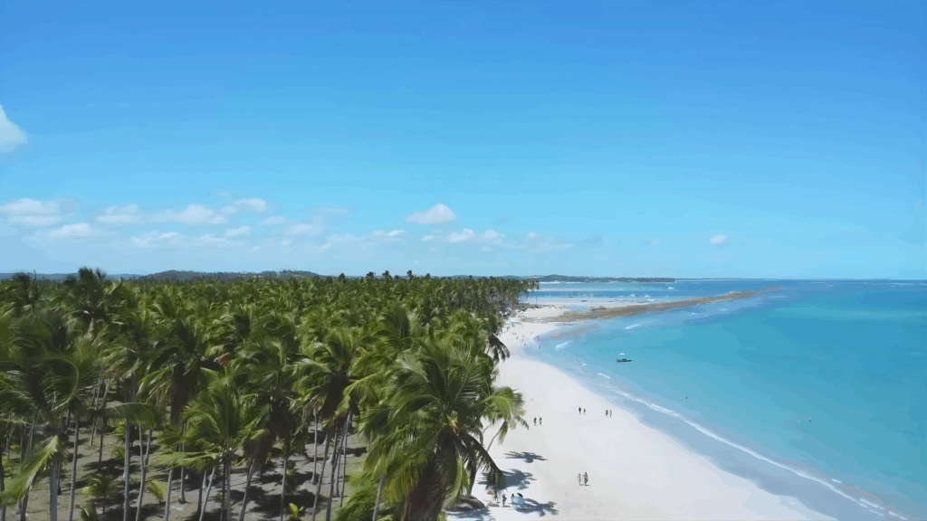 Praia dos Carneiros em Tamandaré PE Praia dos Carneiros em Tamandaré PE