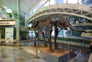 Museu Geológico da Bahia