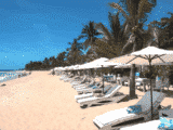 Praia dos Coqueiros em Trancoso BA