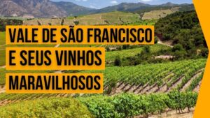 Vinhos do Brasil - Vale do São Francisco