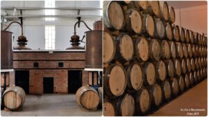 Vinhos de Petrolina e Região