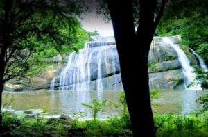Cachoeira do Urubu em Primavera PE