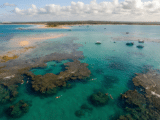 Parrachos de Maracajaú RN