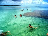 What to do on Boipeba Island - Tourist Guide - videos