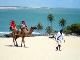 Passeio de dromedário pelas dunas de Genipabú