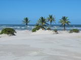 A maior atração Jandaíra é o Distrito de Mangue Seco na Bahia