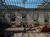 Isla de Anchieta: Historia y Naturaleza