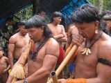História dos Povos Indígenas da Bahia