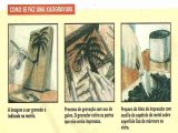 Xilogravura e Literatura de Cordel: A Arte e Tradição Popular do Nordeste