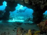 Mergulho em Fernando de Noronha