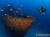 Naufrágio da Corveta Ipiranga no arquipélago de Fernando de Noronha