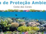 Costa de Coral: Un Paraíso Natural en Alagoas