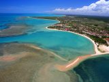 Coast of Discovery: Bahia's Historical Treasures