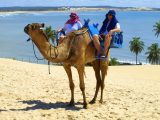 Por que ir ao Nordeste?