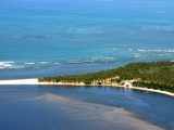 Costa Sur de Alagoas: Un Paraíso Natural