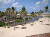 Rio do Fogo no RN possui praias paradisíacas, lagoas e mata preservada