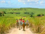 Pernambuco's Rural Tourism Route: A Traveler's Guide