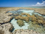 Playas de la Costa Norte de Alagoas: de Maceió a Maragogi
