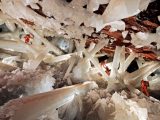 Subsolo do nordeste brasileiro tem esmeraldas e arqueológia