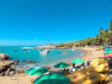 Route of the Discovery of Brazil: A Real Story