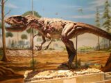 Centro de Pesquisa de História Natural e Arqueologia do Maranhão