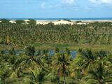 Pacatuba (SE) y el Pantanal de Sergipe: Guía turística