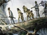 Trabalho Indigena no Brasil Colonia