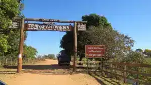 Transpantaneira