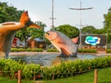 Attractions touristiques de Bonito MS : des expériences inoubliables